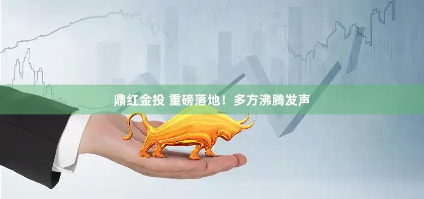 鼎红金投 重磅落地！多方沸腾发声