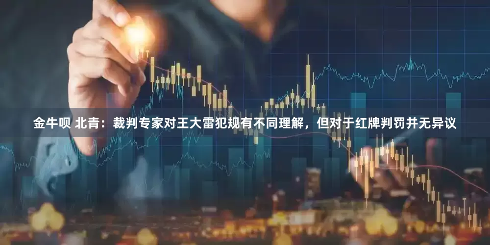 金牛呗 北青：裁判专家对王大雷犯规有不同理解，但对于红牌判罚并无异议