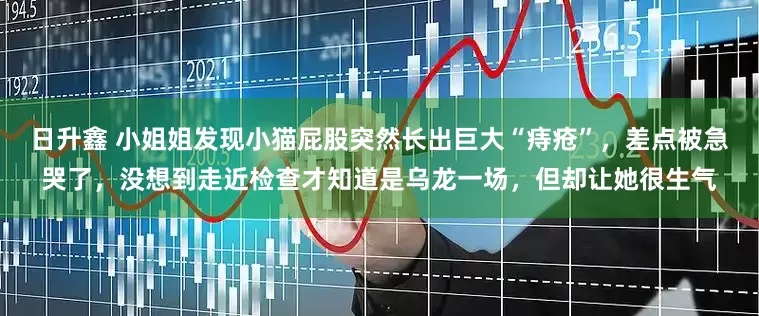 日升鑫 小姐姐发现小猫屁股突然长出巨大“痔疮”，差点被急哭了，没想到走近检查才知道是乌龙一场，但却让她很生气
